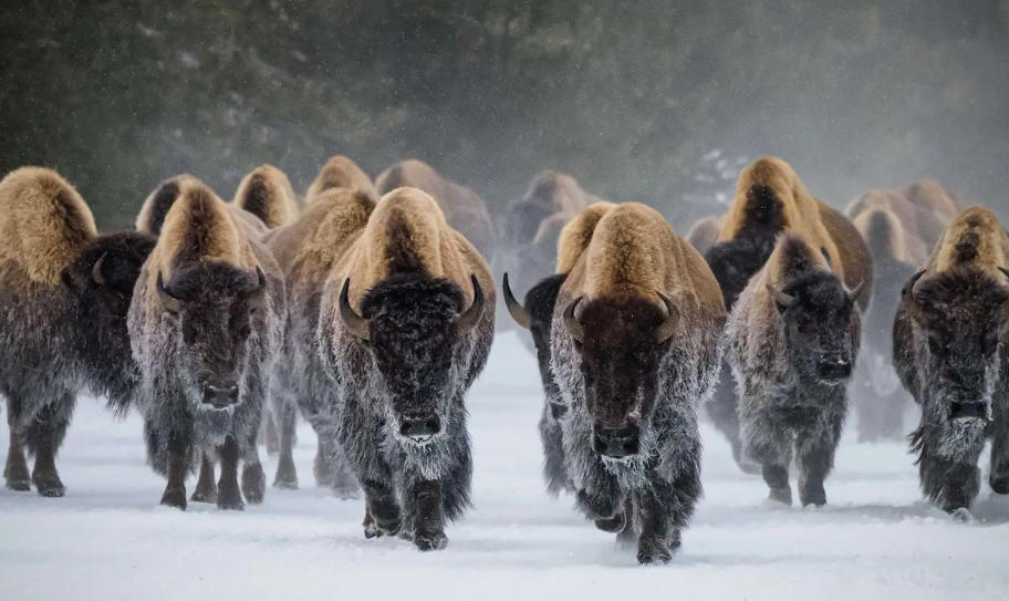 深圳零零柒壹壹安防科技公司轮播图4